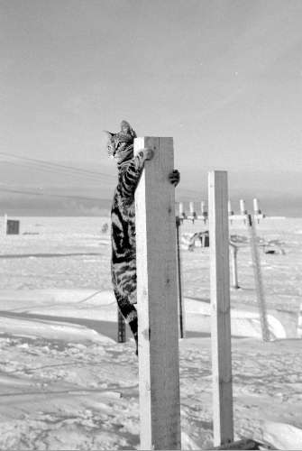 Ness gets adventurous